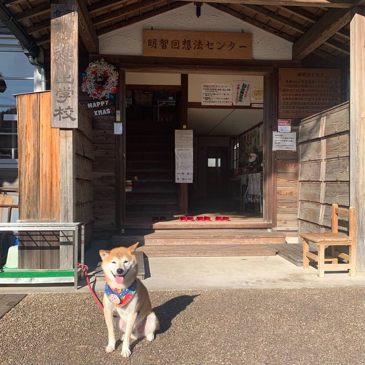 718ca45c dff4 454a a1c7 8a5483ced050 1639383337593