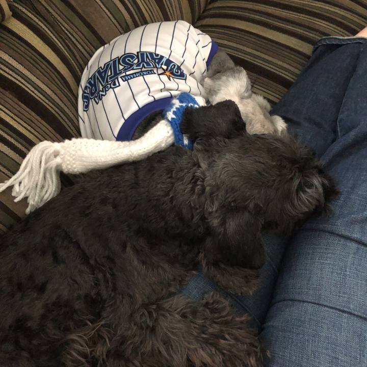 718cccb1 17c3 4877 9292 1470e18fe3c3 1521264818306