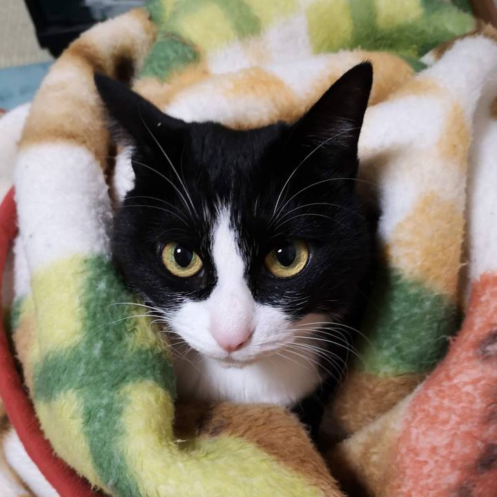 718ccd09 6a19 4a7e 87b2 3ab384408e1d 1675138364393