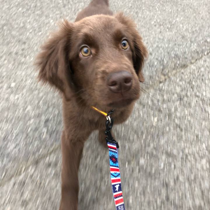 718d0cd0 3012 4acd 9b84 d47018f5463c 1553118490225