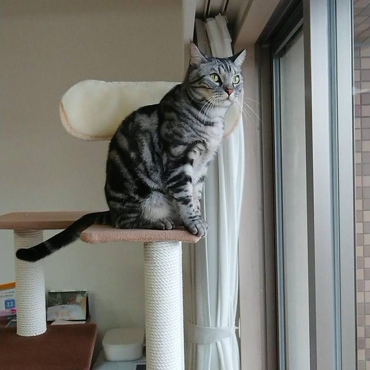 718d203b 7f1a 4dae 9e6d 9a62e57d39de 1550529920273