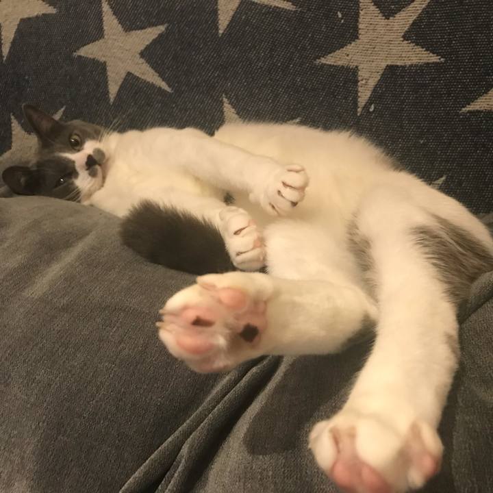 718d5fd6 a54c 42f5 8bd7 e01f2c13f836 1624965199797