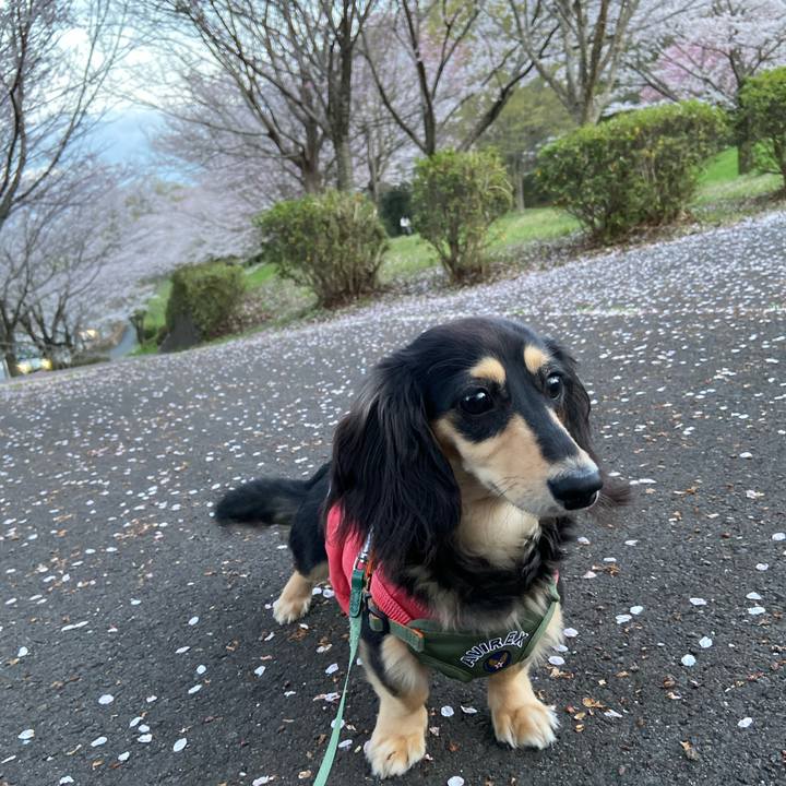 718d9ed0 6e6b 4b86 9dcf f023e96a3ca7 1679996962101