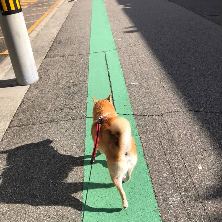 718dc631 4664 475e ae56 182c6d9ba8fe 1609071945856