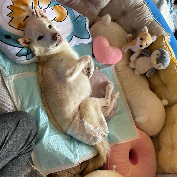 718de139 746e 4fe7 9ff9 28a7c52a2400 1681797616806