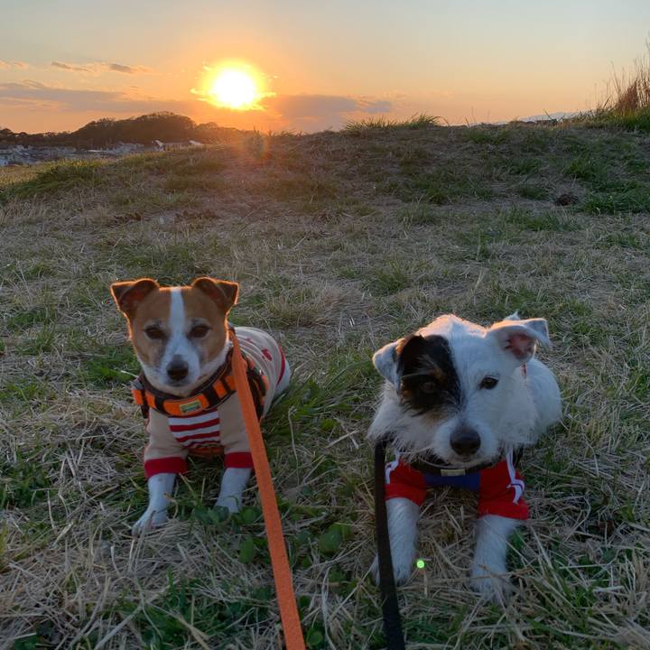 718e05bf 0832 4cc9 bde6 6aaf303d2fdd 1585040311491