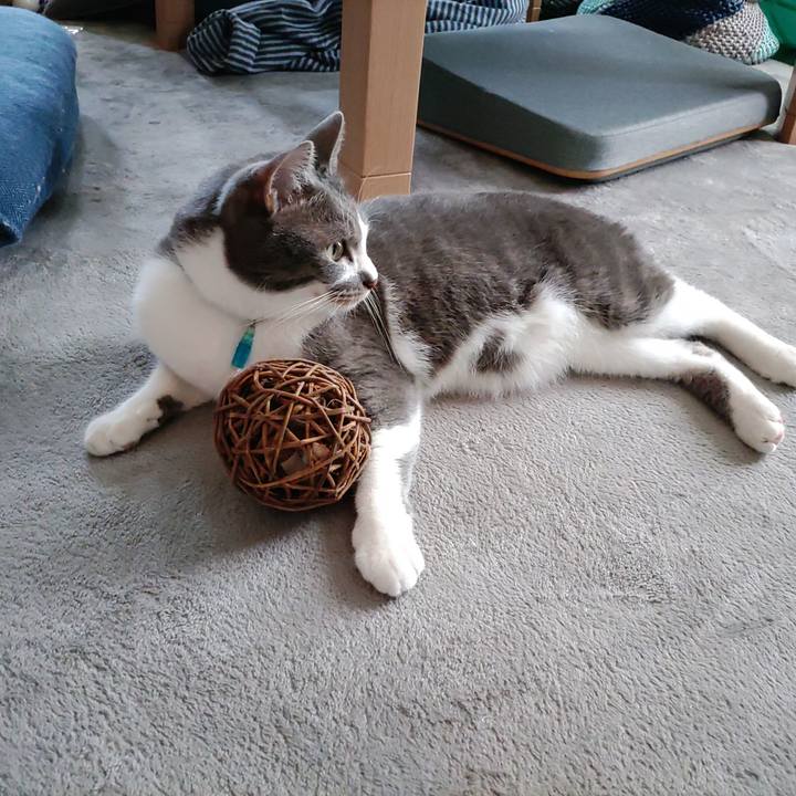 718e0842 296f 4136 9c5a 67b6726458af 1655081789659