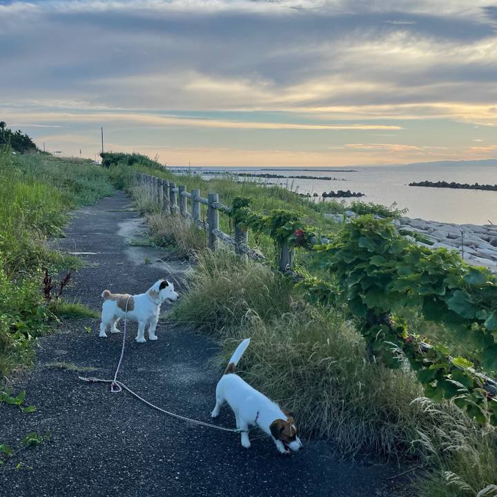 718e2551 e34f 47d6 96d5 1fb289d2d458 1627809057796