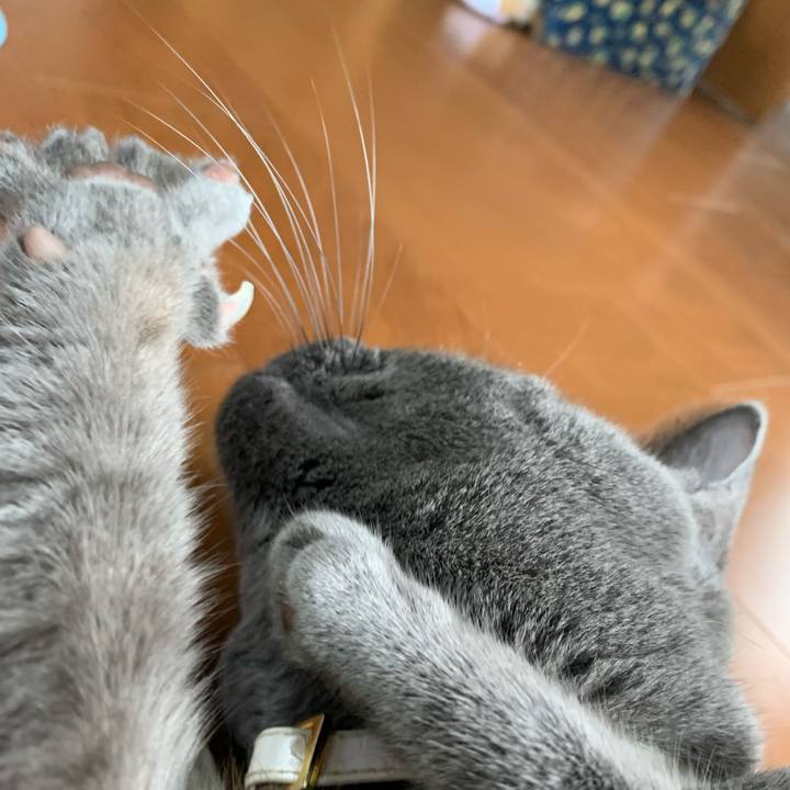 718e2ef3 3ebe 4332 9645 56d798303543 1659746015403