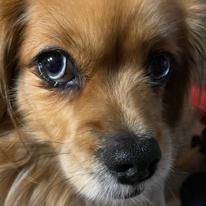 718e4b98 f6d3 4a0b 8dfe 91daee8333b3 1643061075794