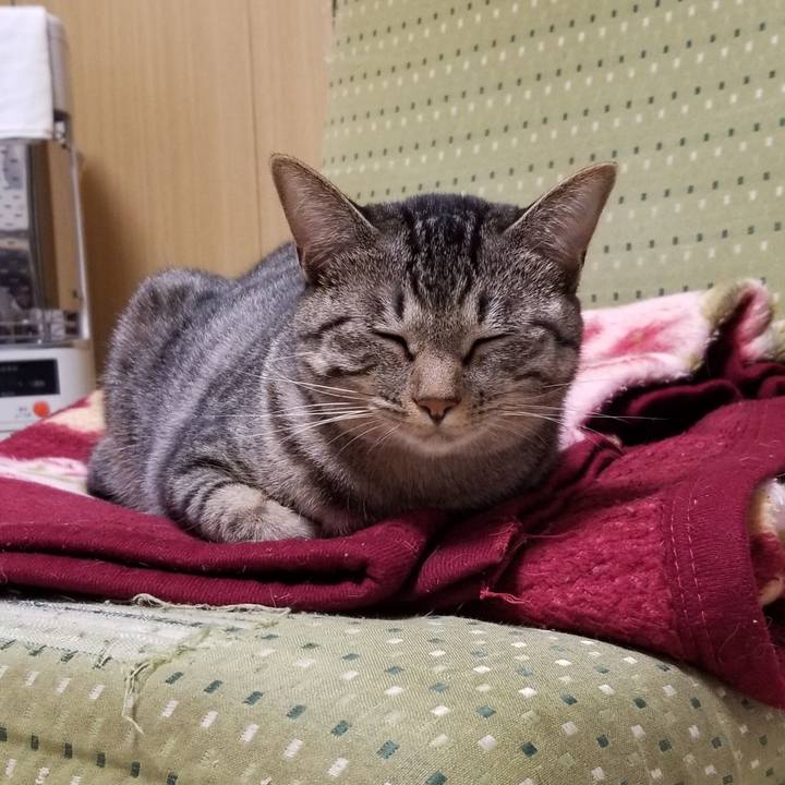 718e72fa 0c62 4ba4 9098 b8832e808009 1691386252934