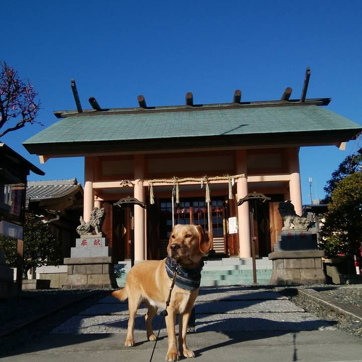 718e74a5 1381 42b1 a04f afa0efced80b 1517963372169