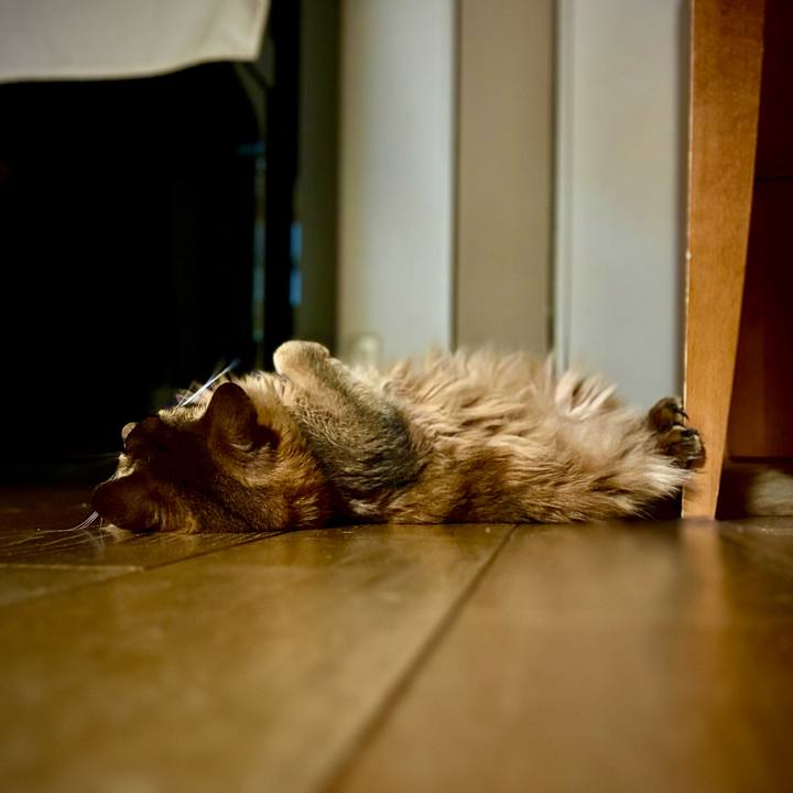 718e82a6 6eb3 4247 a979 e40b216cfb96 1755556592913