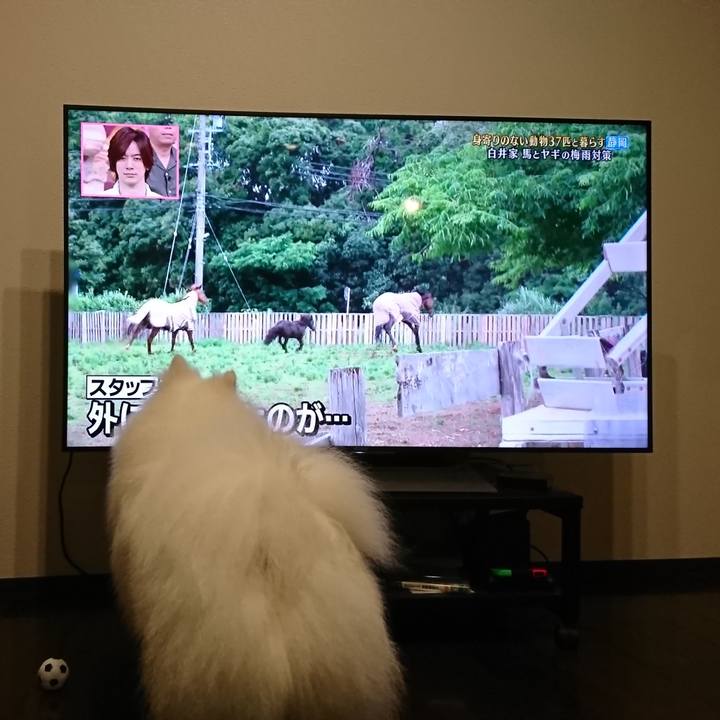 718eb3b8 3514 425b a327 3c14de984225 1563012260359