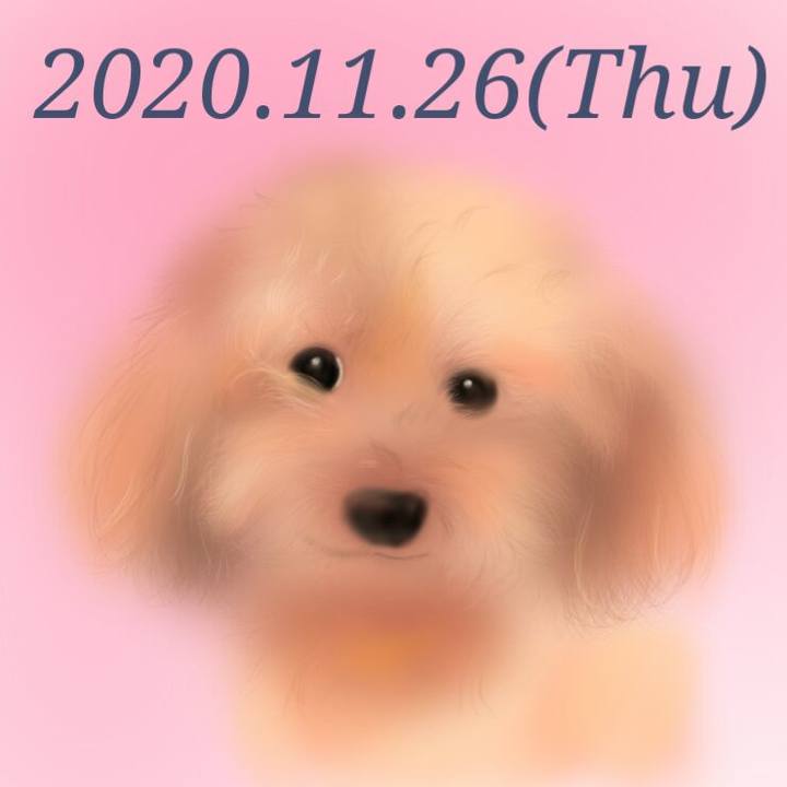 718ed965 25bf 49d2 8aa7 98ac5532107a 1606394254520