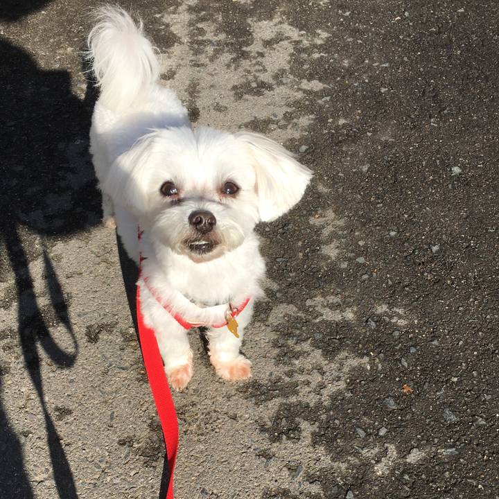 718ee1b6 ae8d 4973 a579 0d1c4fe74233 1574132804195