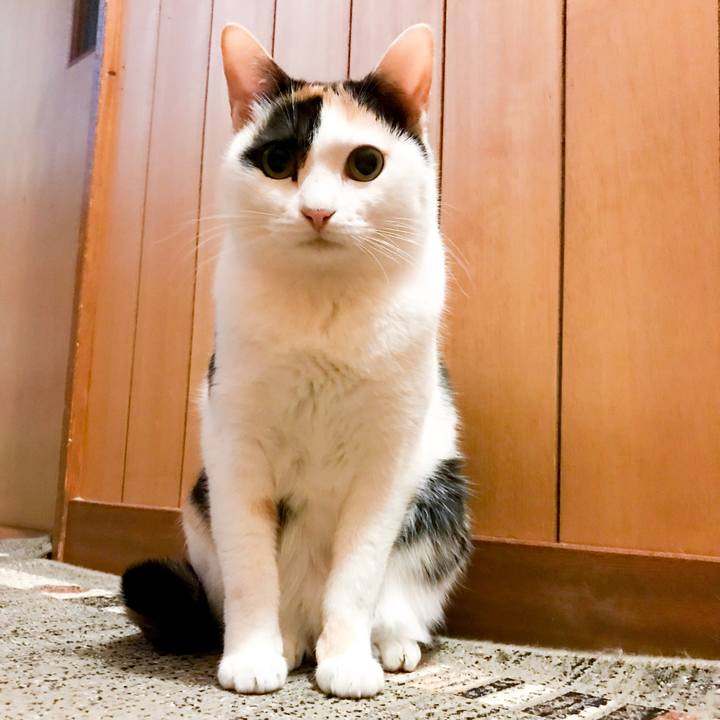 718eeabe 9cbb 44aa b23c 9796501d89c1 1516411514649