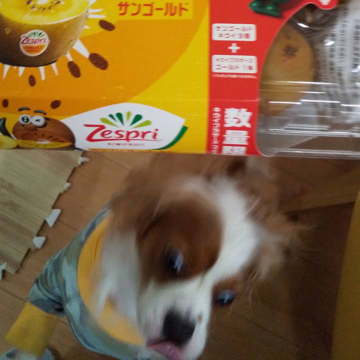 718ef5d6 e534 4a4f 91a3 776760395be6 1600601193115