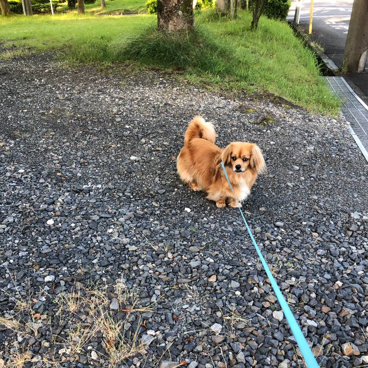 718f1112 8eb7 401d 9f89 88b42aa833fc 1560720332179