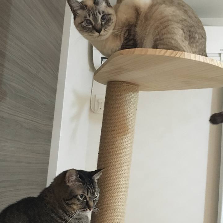 718f4c3c beaa 472b a4e1 78cff415b271 1576235418053