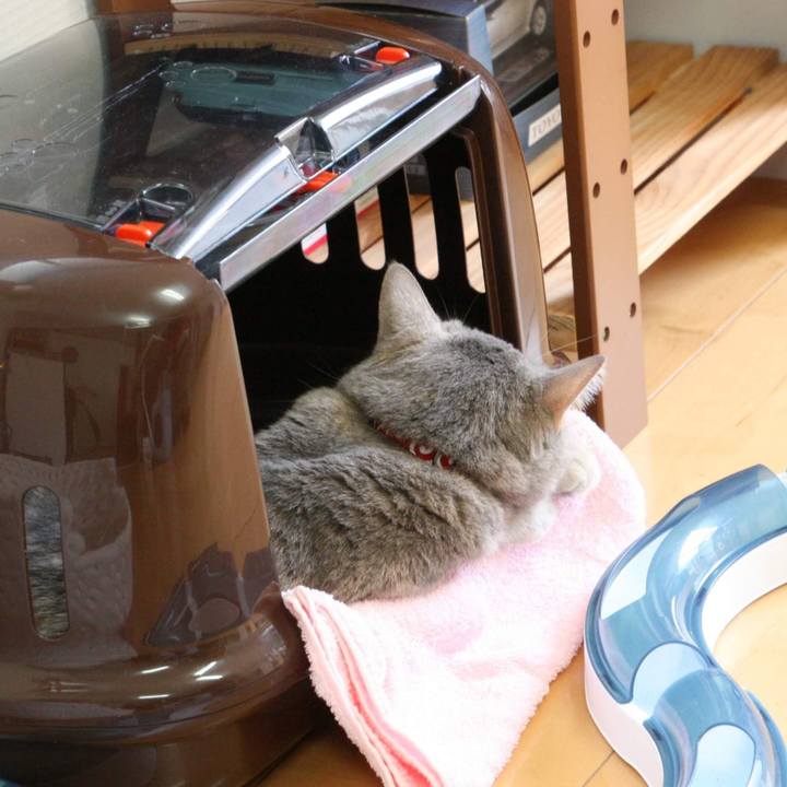 718f4cbd 671b 4798 b589 e15b6277c888 1534745739823