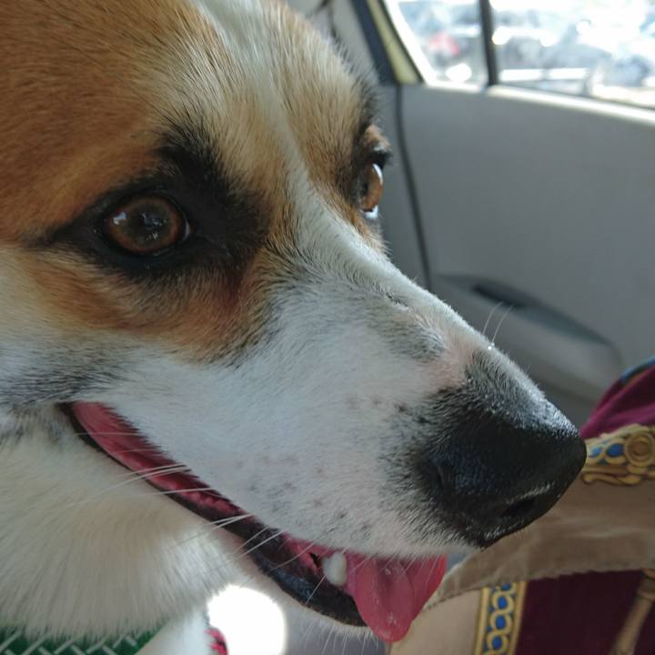 718f4f90 d59d 4a8c 83d1 855813c63050 1601957722579