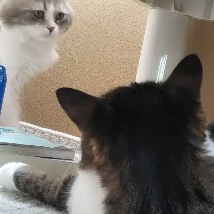 718f5f7c 2768 4ffb 8d67 a1b9584692c2 1624752793719