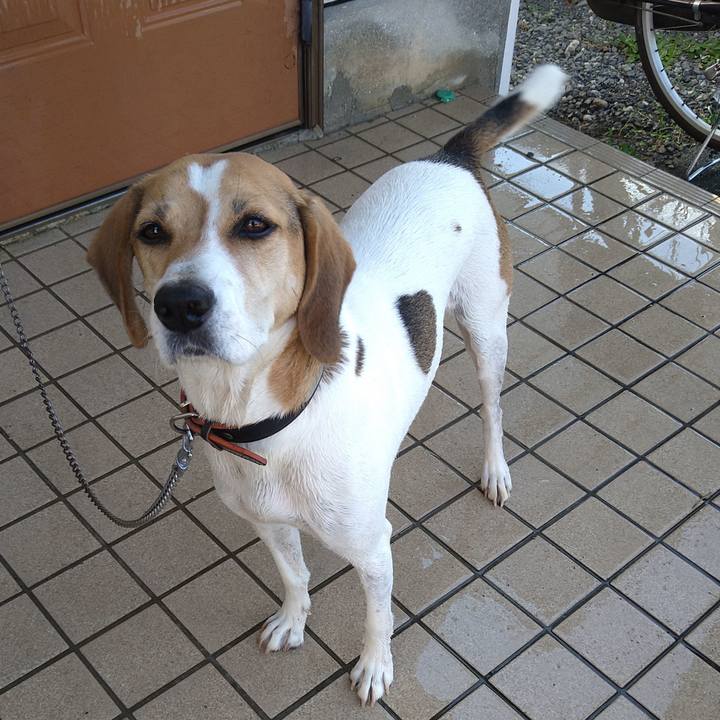 718f6471 8eda 4f60 8b9e da35718040c7 1632719541849