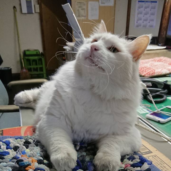 718f9354 3cfc 4b28 9d28 6ca16d3a66df 1541370389846