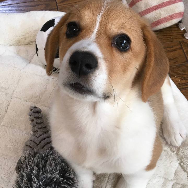 71900c6e 6f68 43e2 9e96 5b6549f49673 1590234897308