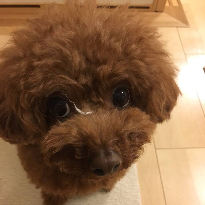 719028fa bd56 4f8c a9f2 b7894ff547c0 1529014518865