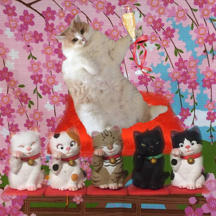 7190290f e6cf 42f9 9d4e 07b34a3d1344 1554553754966