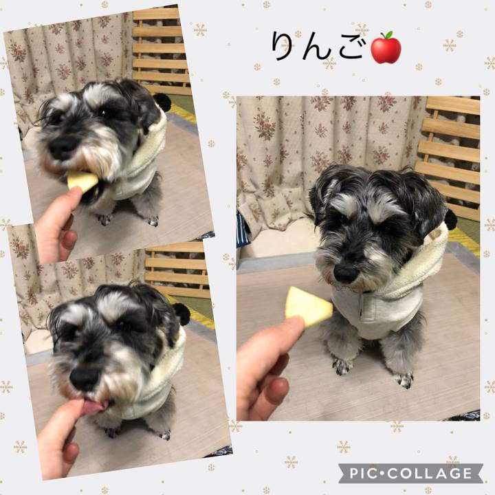 719041e6 cddf 42e4 b5ef 4f5bc5f37332 1642859474512