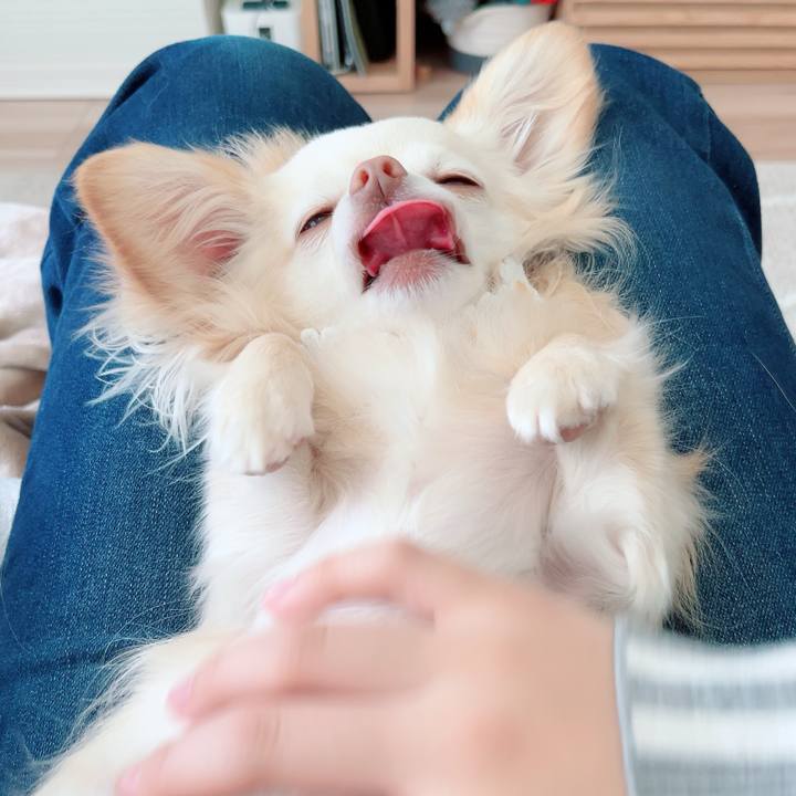 719055fb bb70 443f bf7c 44ffe675296d 1712367336998