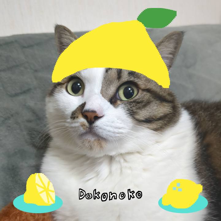 7190b3d3 f9d5 4f4f aeea ae3c71bba7d3 1741059834278