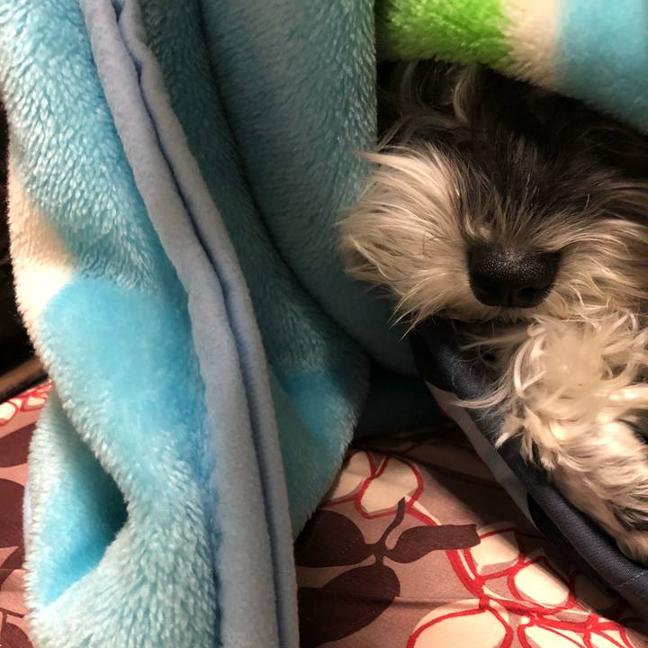 7190fb7a d0c9 4b65 813a 342de6bcb7ce 1514705211086