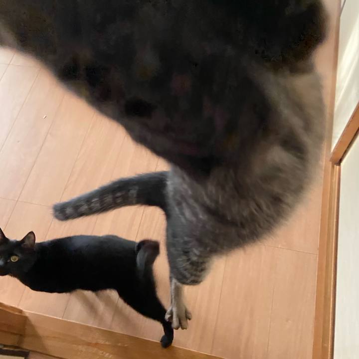 7191044f 7dce 46d0 b20d f84d122e65f6 1623417406807