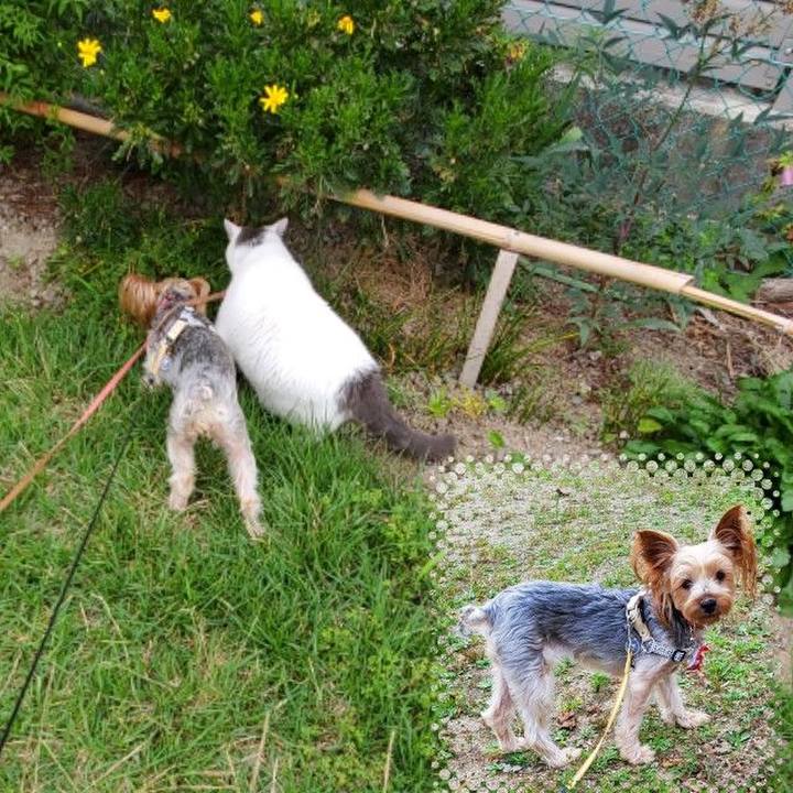 719118e8 23aa 4115 9f67 c1b8fdd59f6f 1562922827693