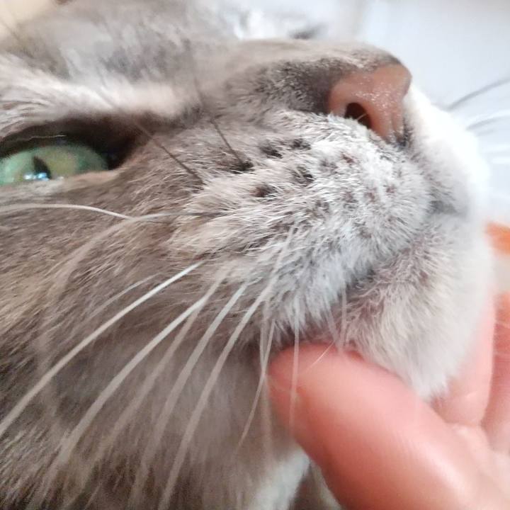 71912abd 65cc 4a1d 9b12 f6d9c7dc1a9e 1607303522813