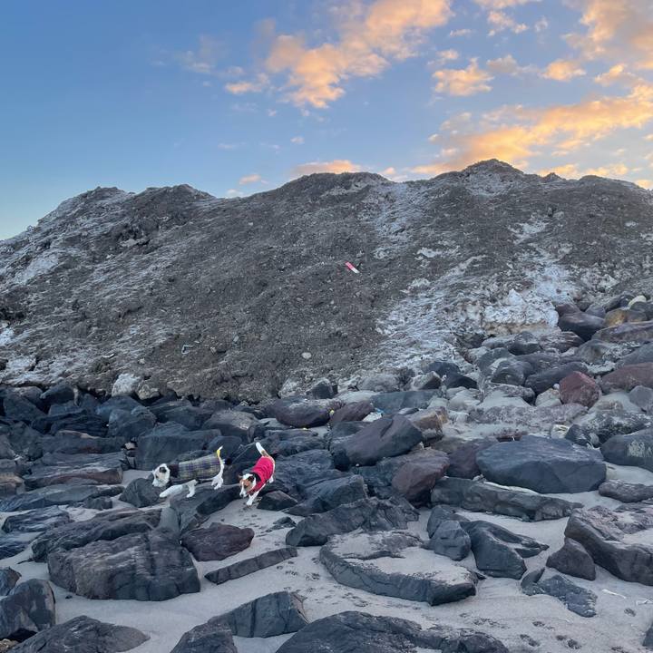 71913305 5407 4e71 85b9 333162ba4e56 1703720130261