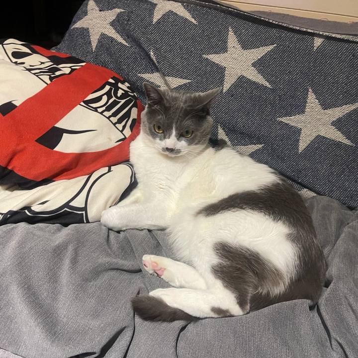 71913e97 6bbf 4e97 aa30 94dd0cd72b69 1646308544579