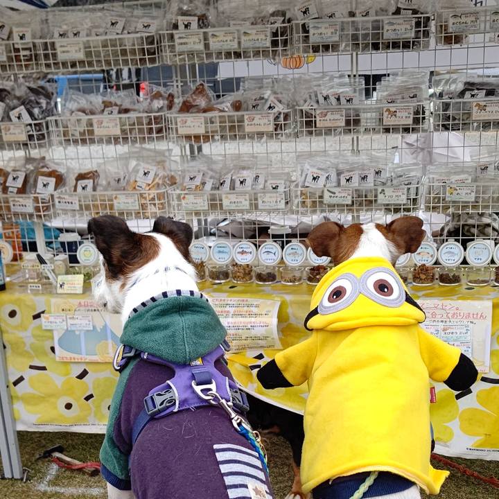 71914a09 5686 4a7a a83a 1d42375481f6 1635647633346