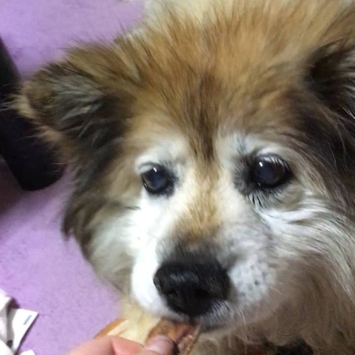 719187cb 4050 4b59 95ac bc01a7b86d7d 1564211313468