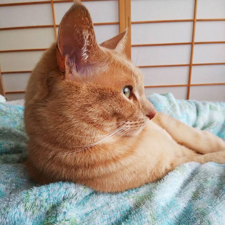 7191908a 9b0b 4cc0 acfe 18136ae32f50 1679797265962