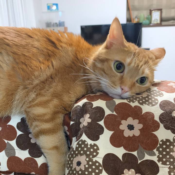 7191f574 7317 4a3e 8428 ed5fe5ace386 1570927293315