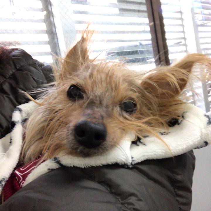 719203e7 01cb 4bd0 b84a fd6430682db7 1546733983185