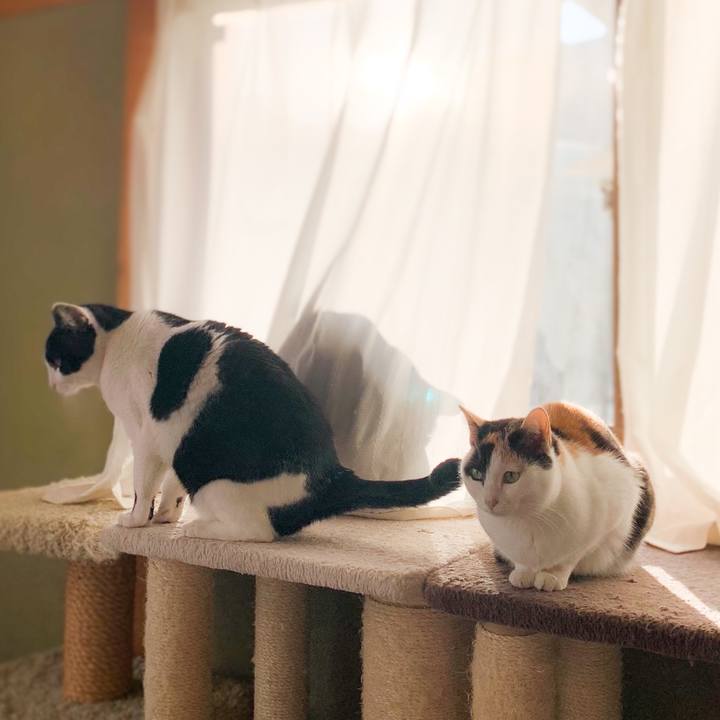 7192081f 7a87 442e a559 82b7d8945cdf 1579485854330