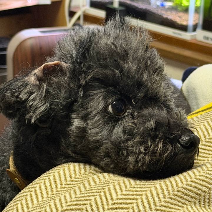 7192157d edc3 42ba 9f3d c5a72fd3b660 1770212022899