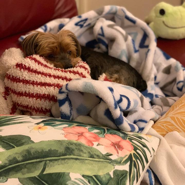 719226ae 46e1 4538 b94d 8d8db0c1da3e 1623060593111