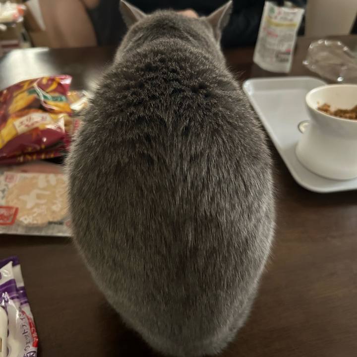 71923f86 bed1 4705 b6c1 9dc73605f691 1696849576680